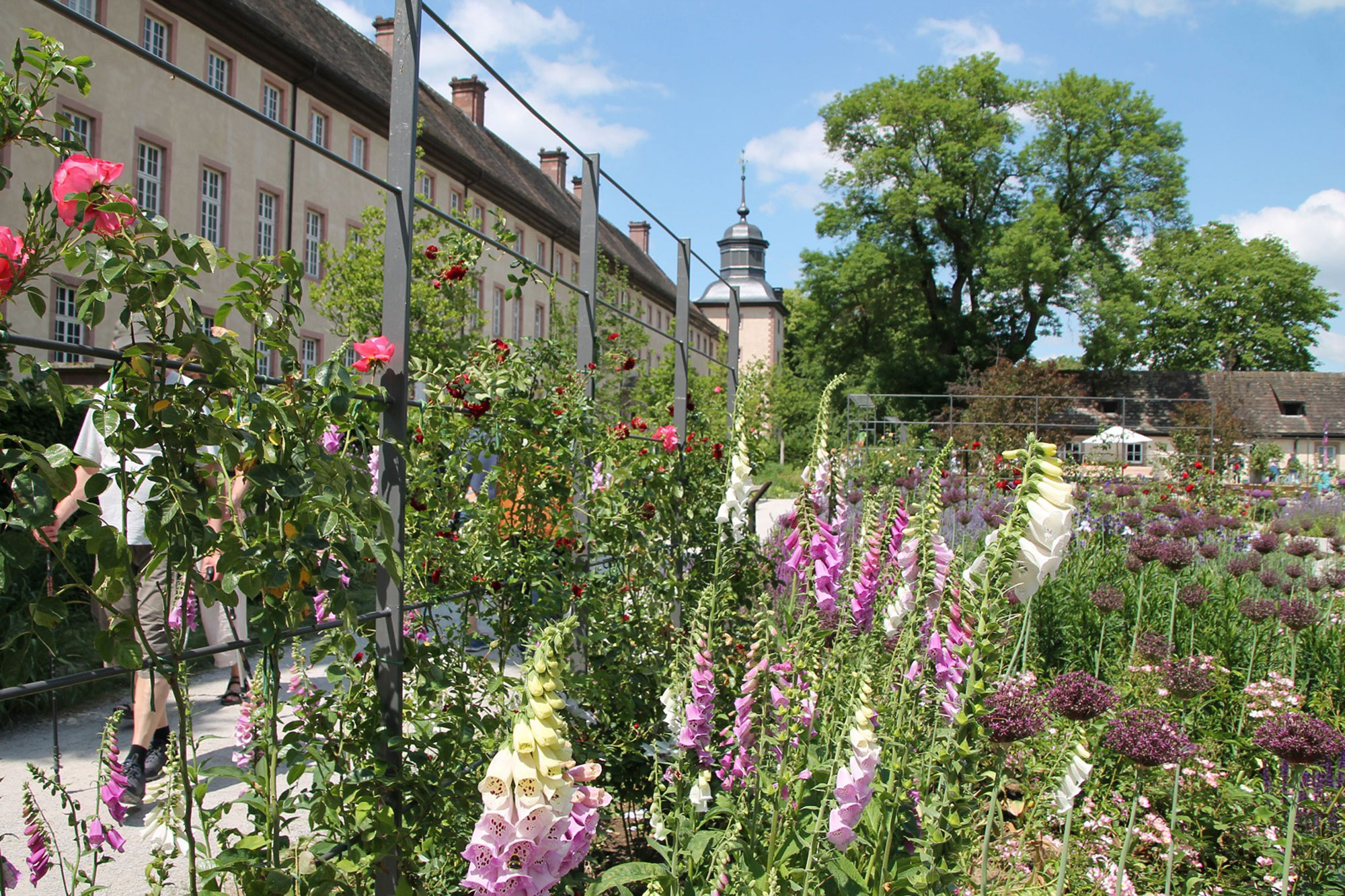 LGS HX Fingerhut Remtergarten