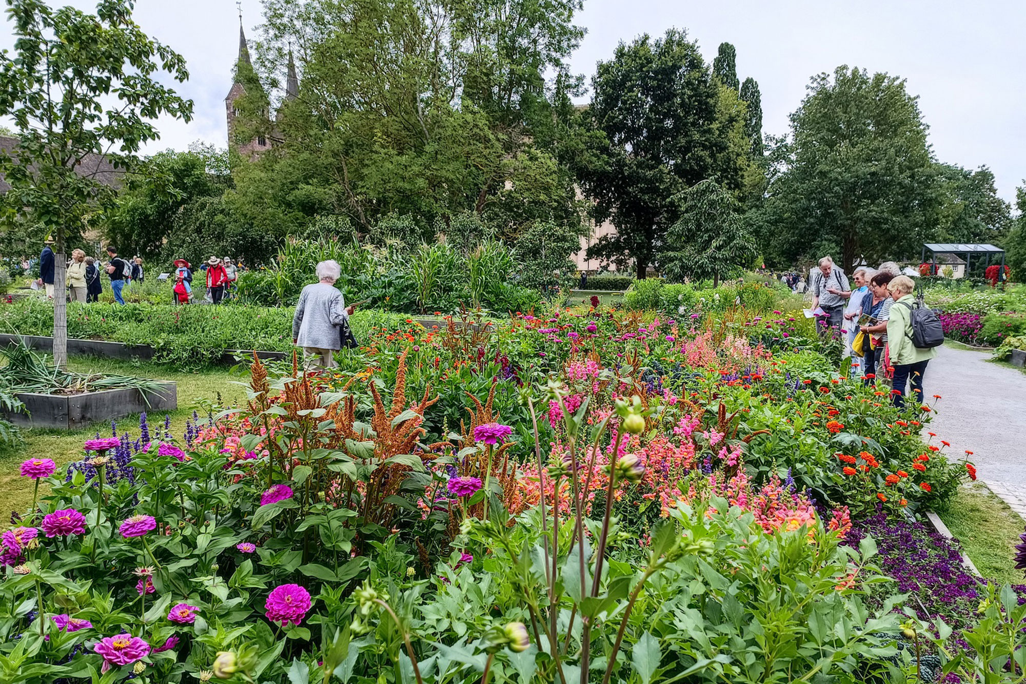 LGS HX Sommerflor Remtergarten